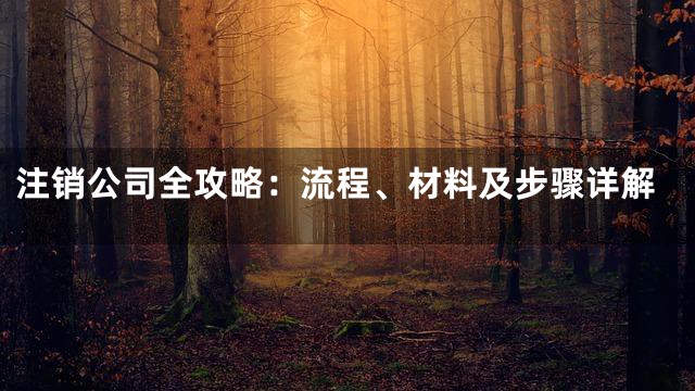注销公司全攻略：流程、材料及步骤详解