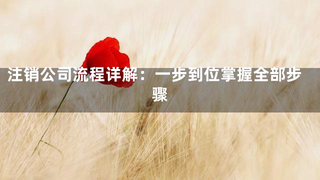 注销公司流程详解：一步到位掌握全部步骤