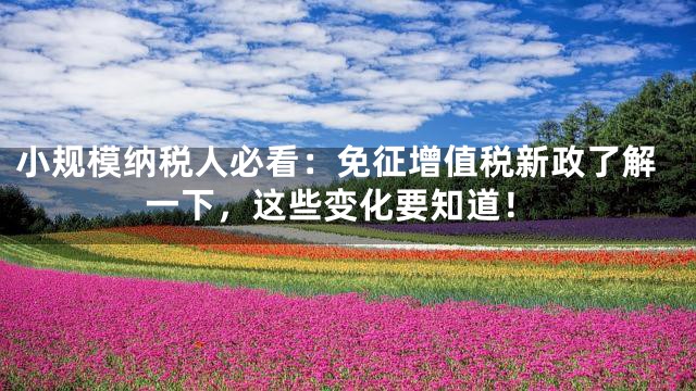 小规模纳税人必看：免征增值税新政了解一下，这些变化要知道！