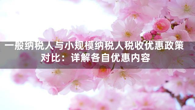 一般纳税人与小规模纳税人税收优惠政策对比：详解各自优惠内容