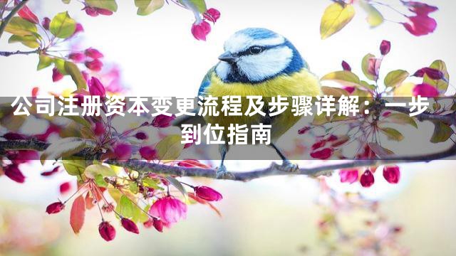 公司注册资本变更流程及步骤详解：一步到位指南