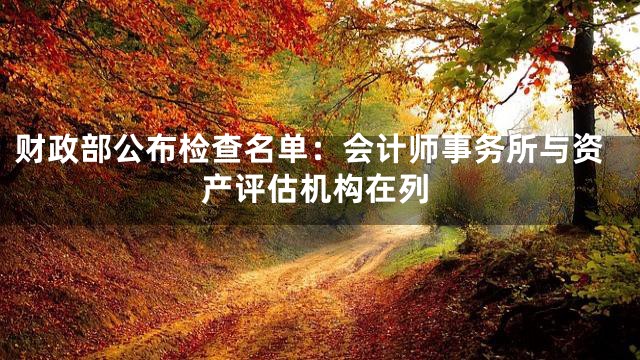财政部公布检查名单：会计师事务所与资产评估机构在列