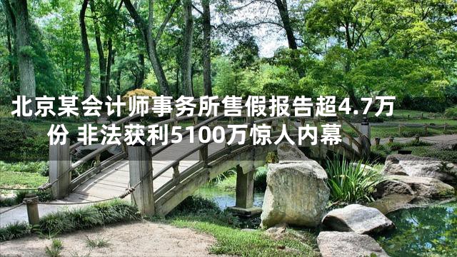北京某会计师事务所售假报告超4.7万份 非法获利5100万惊人内幕