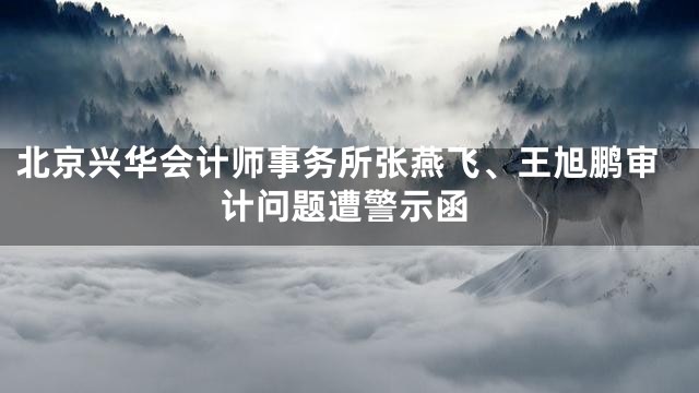 北京兴华会计师事务所张燕飞、王旭鹏审计问题遭警示函