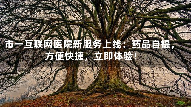 市一互联网医院新服务上线：药品自提，方便快捷，立即体验！