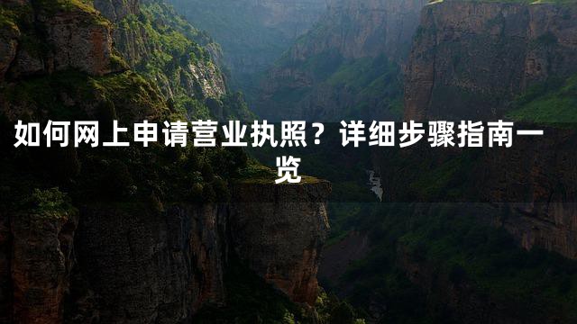 如何网上申请营业执照？详细步骤指南一览