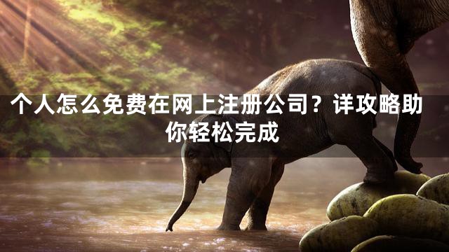 个人怎么免费在网上注册公司？详攻略助你轻松完成
