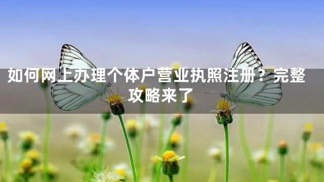 如何网上办理个体户营业执照注册？完整攻略来了