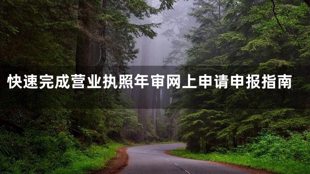 快速完成营业执照年审网上申请申报指南