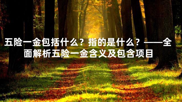 五险一金包括什么？指的是什么？——全面解析五险一金含义及包含项目