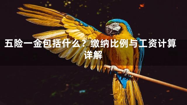 五险一金包括什么？缴纳比例与工资计算详解