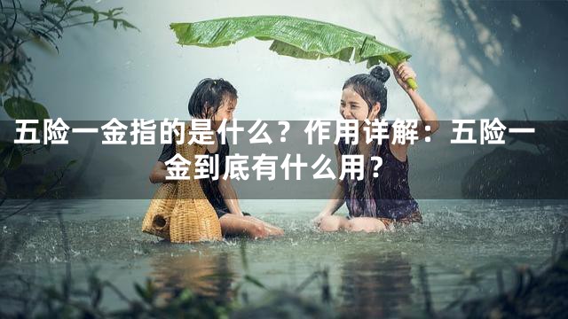 五险一金指的是什么？作用详解：五险一金到底有什么用？