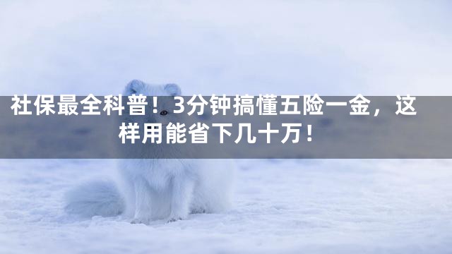 社保最全科普！3分钟搞懂五险一金，这样用能省下几十万！