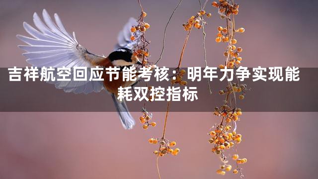 吉祥航空回应节能考核：明年力争实现能耗双控指标