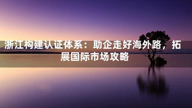 浙江构建认证体系：助企走好海外路，拓展国际市场攻略