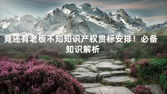 竟还有老板不知知识产权贯标安排！必备知识解析