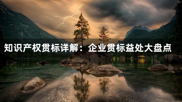 知识产权贯标详解：企业贯标益处大盘点