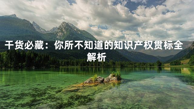 干货必藏：你所不知道的知识产权贯标全解析