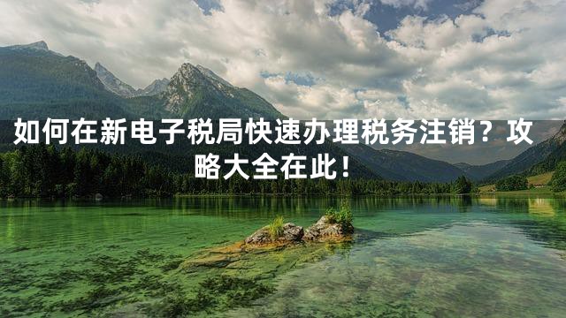 如何在新电子税局快速办理税务注销？攻略大全在此！