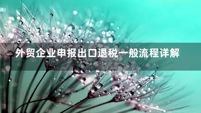 外贸企业申报出口退税一般流程详解