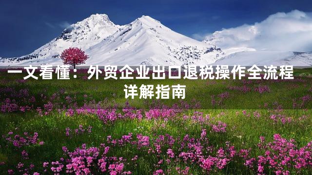 一文看懂：外贸企业出口退税操作全流程详解指南