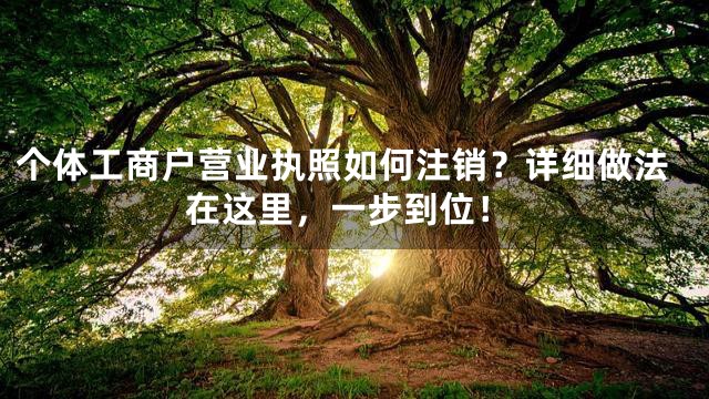 个体工商户营业执照如何注销？详细做法在这里，一步到位！