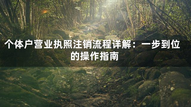 个体户营业执照注销流程详解：一步到位的操作指南