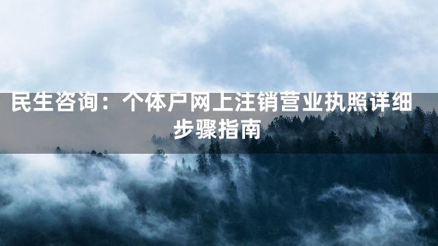 民生咨询：个体户网上注销营业执照详细步骤指南