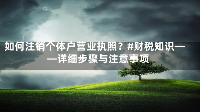如何注销个体户营业执照？#财税知识——详细步骤与注意事项