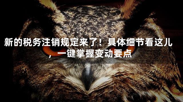 新的税务注销规定来了！具体细节看这儿，一键掌握变动要点