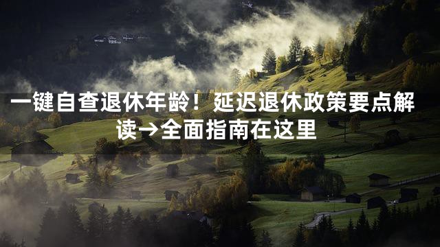一键自查退休年龄！延迟退休政策要点解读→全面指南在这里