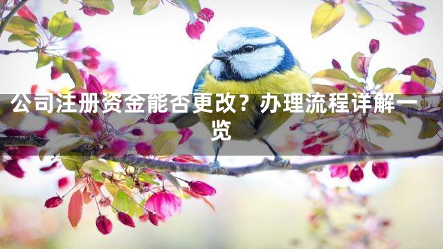 公司注册资金能否更改？办理流程详解一览
