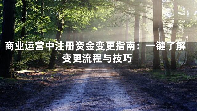 商业运营中注册资金变更指南：一键了解变更流程与技巧