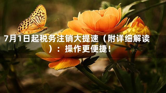 7月1日起税务注销大提速（附详细解读）：操作更便捷！