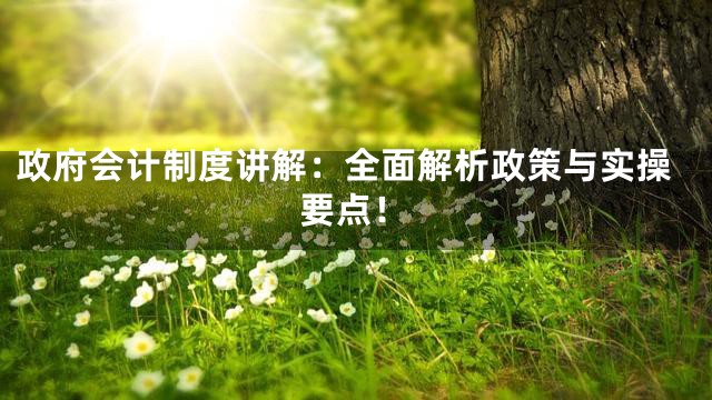 政府会计制度讲解：全面解析政策与实操要点！