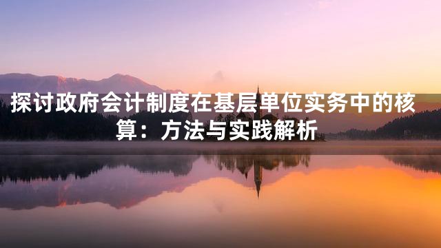 探讨政府会计制度在基层单位实务中的核算：方法与实践解析