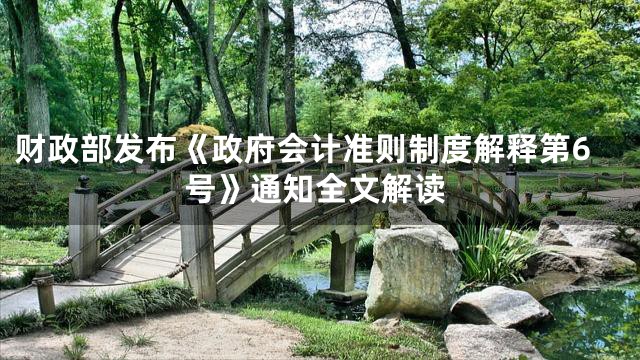 财政部发布《政府会计准则制度解释第6号》通知全文解读