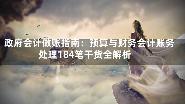政府会计做账指南：预算与财务会计账务处理184笔干货全解析