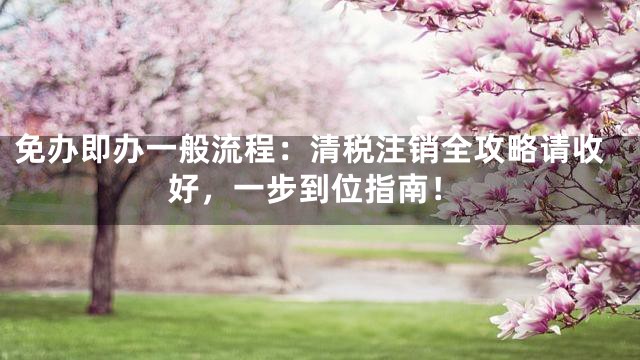 免办即办一般流程：清税注销全攻略请收好，一步到位指南！