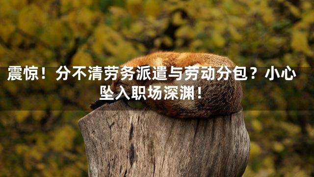 震惊！分不清劳务派遣与劳动分包？小心坠入职场深渊！