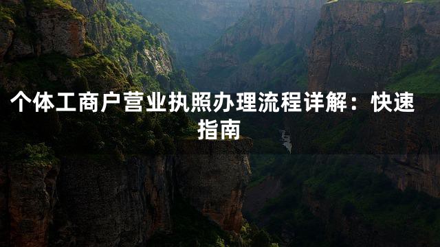 个体工商户营业执照办理流程详解：快速指南