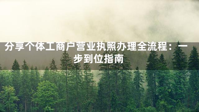 分享个体工商户营业执照办理全流程：一步到位指南