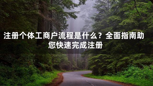 注册个体工商户流程是什么？全面指南助您快速完成注册