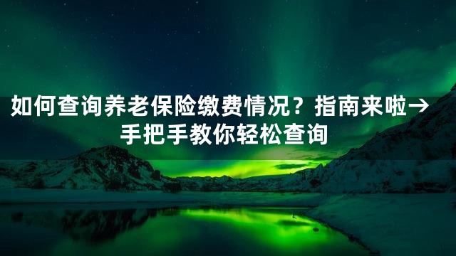 如何查询养老保险缴费情况？指南来啦→手把手教你轻松查询