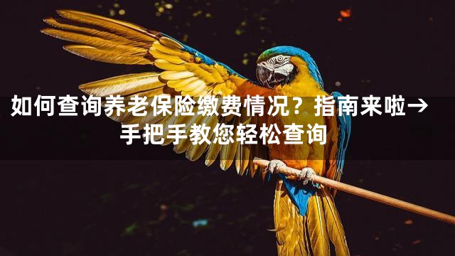 如何查询养老保险缴费情况？指南来啦→手把手教您轻松查询