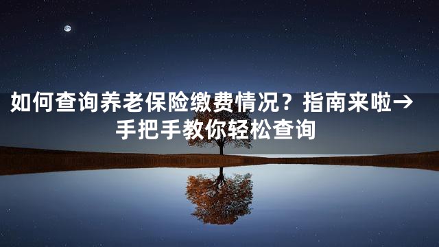 如何查询养老保险缴费情况？指南来啦→手把手教你轻松查询