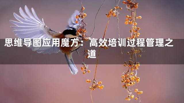思维导图应用魔方：高效培训过程管理之道
