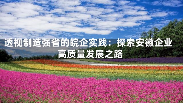 透视制造强省的皖企实践：探索安徽企业高质量发展之路