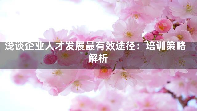 浅谈企业人才发展最有效途径：培训策略解析
