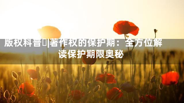 版权科普⑰|著作权的保护期：全方位解读保护期限奥秘